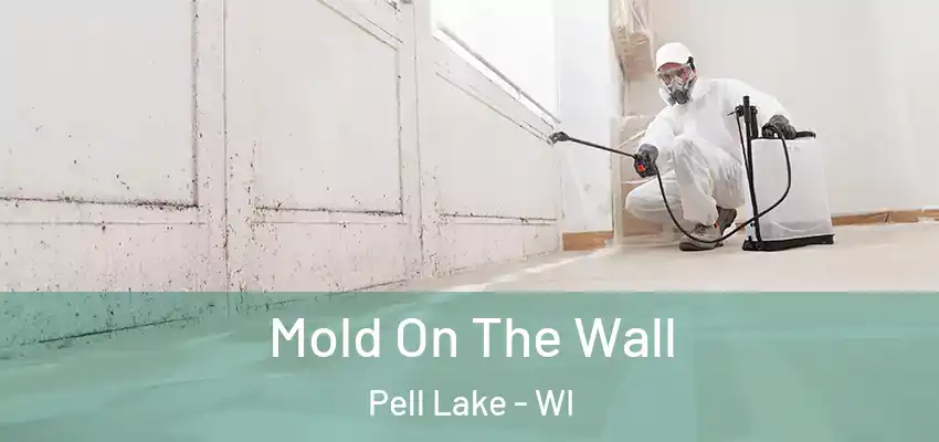  Mold On The Wall Pell Lake - WI