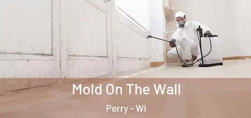  Mold On The Wall Perry - WI