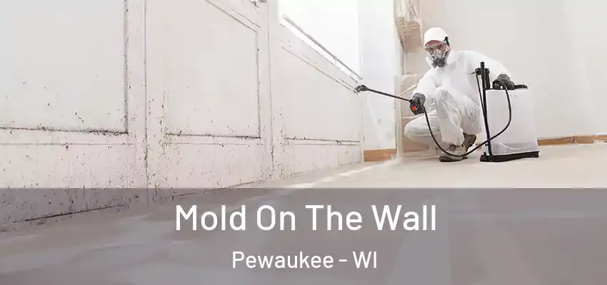  Mold On The Wall Pewaukee - WI