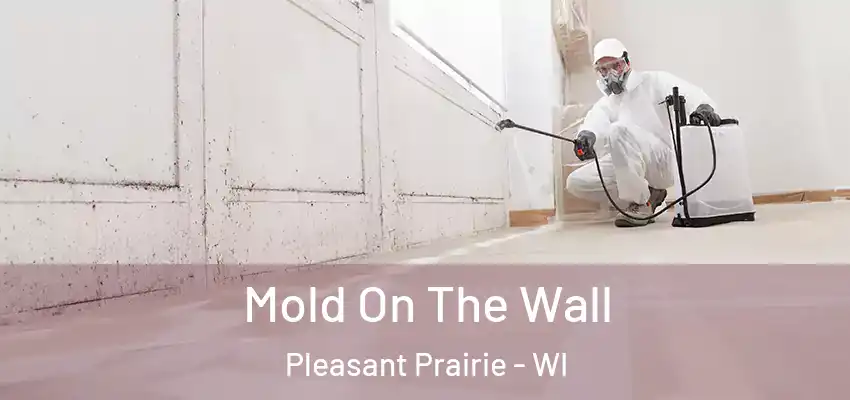  Mold On The Wall Pleasant Prairie - WI