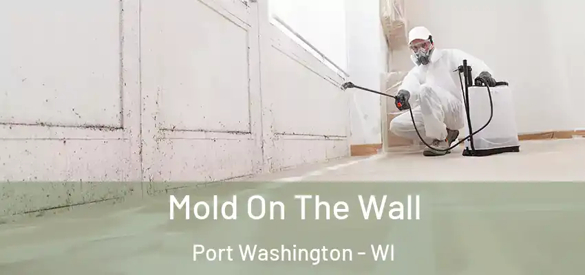  Mold On The Wall Port Washington - WI
