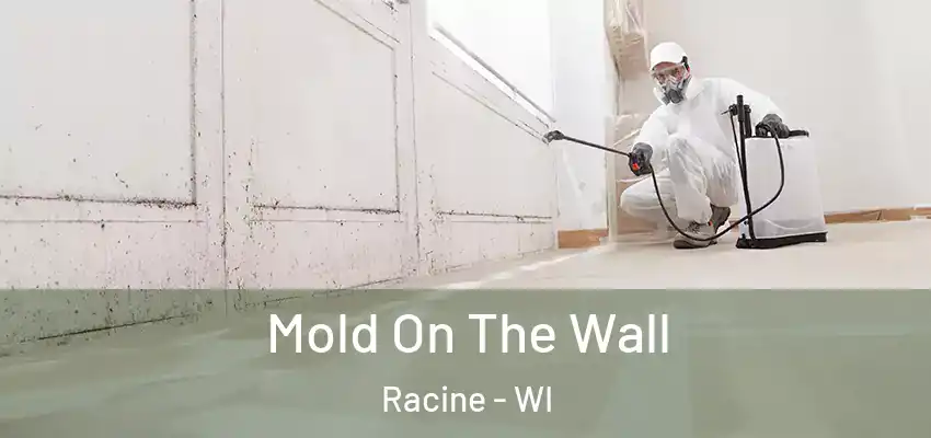  Mold On The Wall Racine - WI