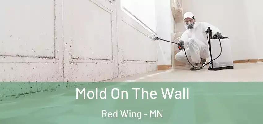  Mold On The Wall Red Wing - MN
