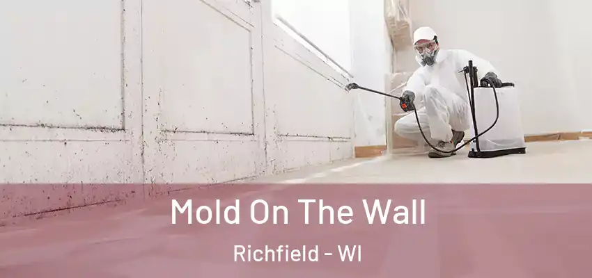  Mold On The Wall Richfield - WI