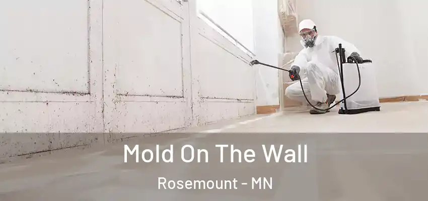  Mold On The Wall Rosemount - MN