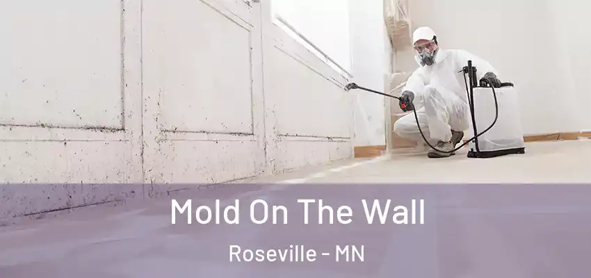  Mold On The Wall Roseville - MN