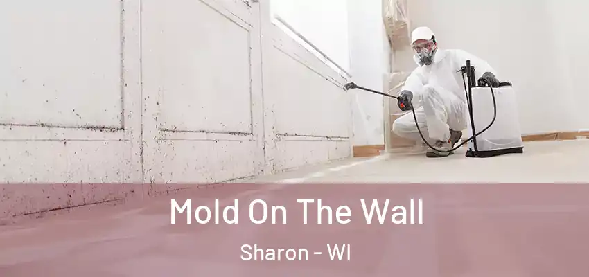  Mold On The Wall Sharon - WI