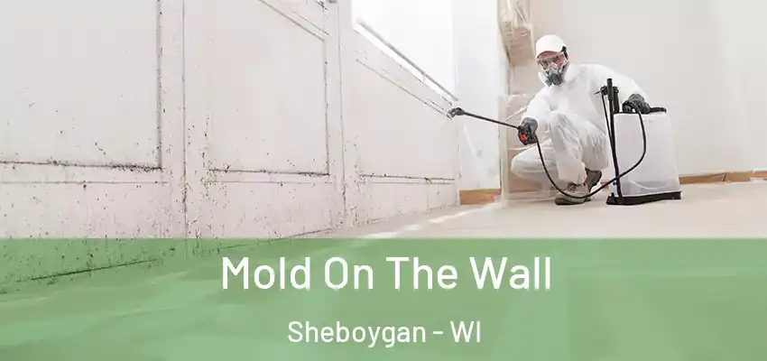  Mold On The Wall Sheboygan - WI