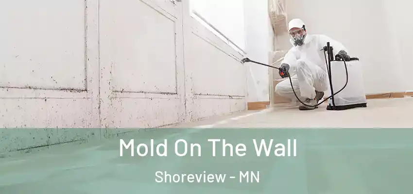  Mold On The Wall Shoreview - MN