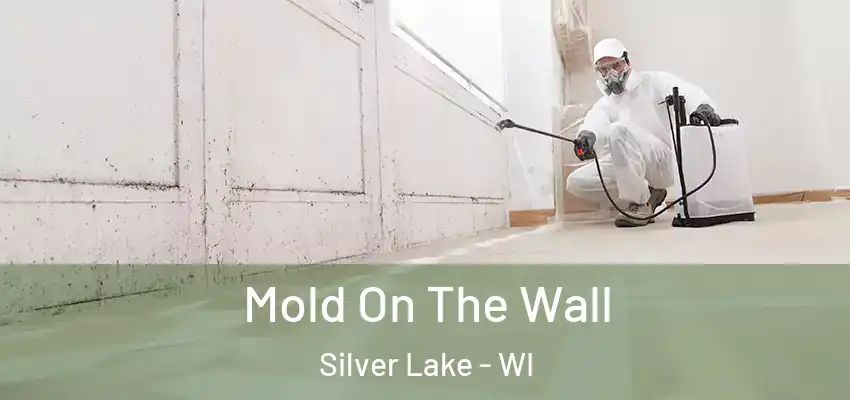  Mold On The Wall Silver Lake - WI