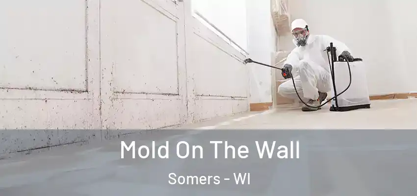  Mold On The Wall Somers - WI