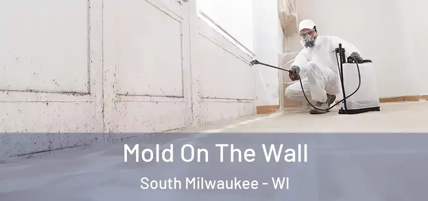  Mold On The Wall South Milwaukee - WI