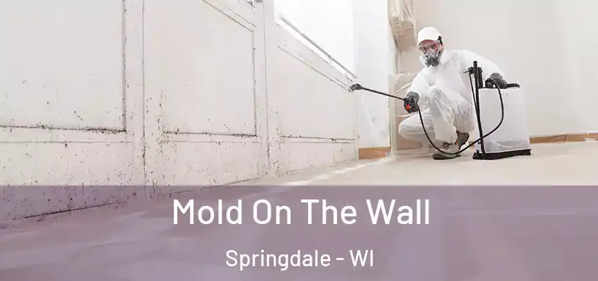  Mold On The Wall Springdale - WI