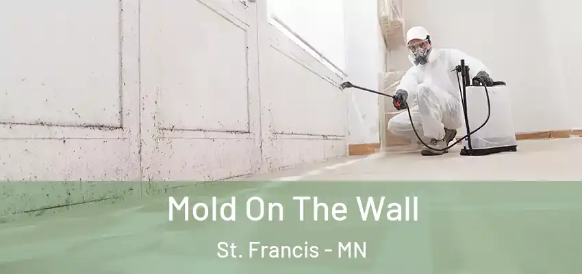  Mold On The Wall St. Francis - MN
