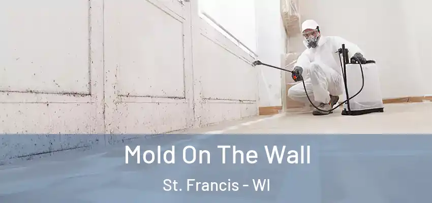  Mold On The Wall St. Francis - WI