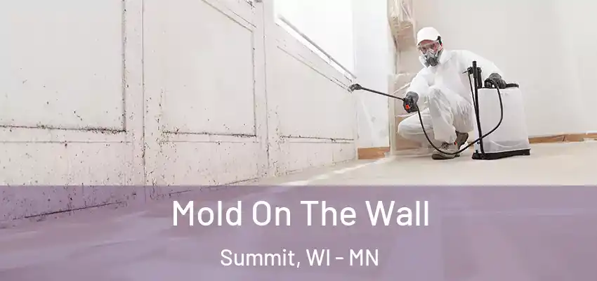  Mold On The Wall Summit, WI - MN
