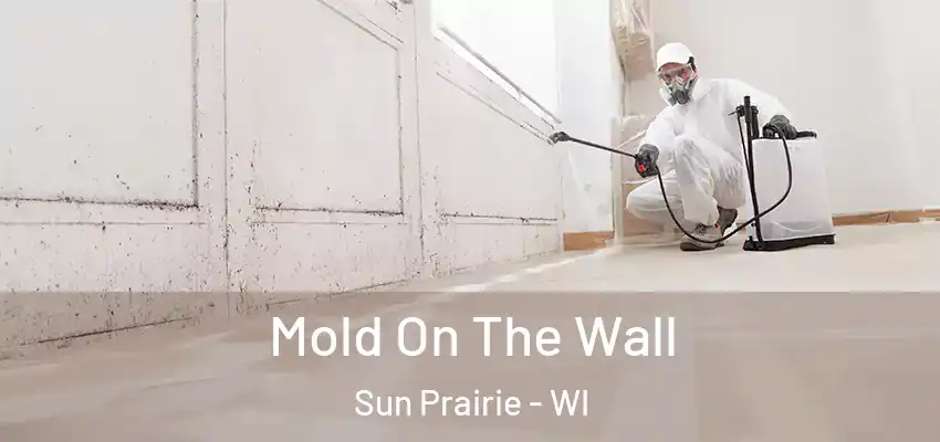  Mold On The Wall Sun Prairie - WI