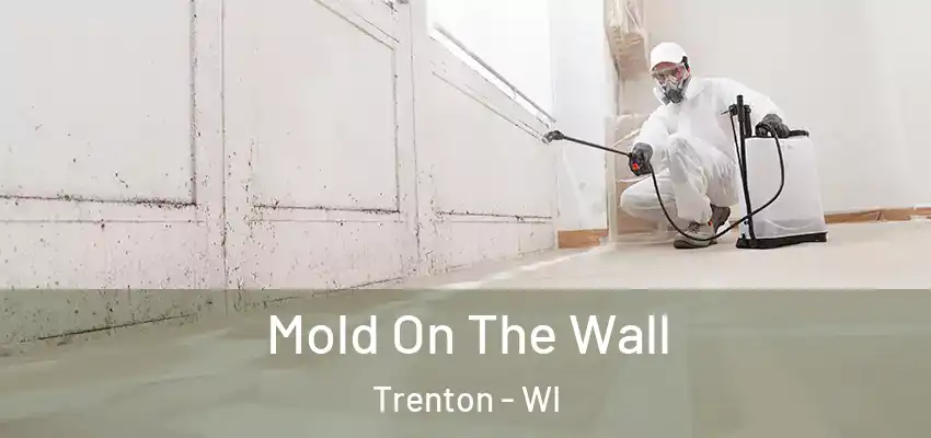  Mold On The Wall Trenton - WI