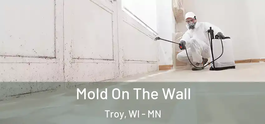  Mold On The Wall Troy, WI - MN