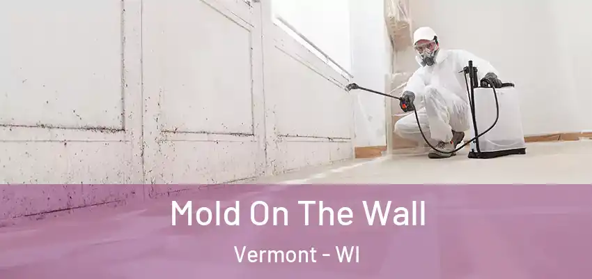  Mold On The Wall Vermont - WI