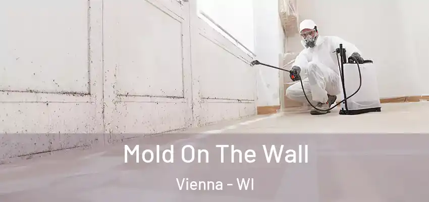  Mold On The Wall Vienna - WI