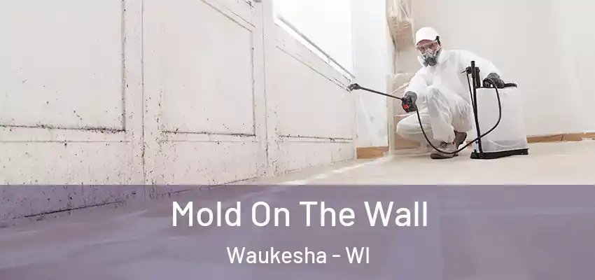 Mold On The Wall Waukesha - WI
