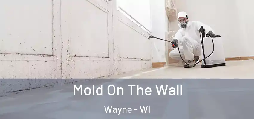Mold On The Wall Wayne - WI
