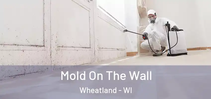  Mold On The Wall Wheatland - WI