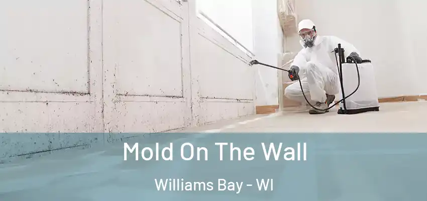  Mold On The Wall Williams Bay - WI
