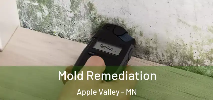  Mold Remediation Apple Valley - MN