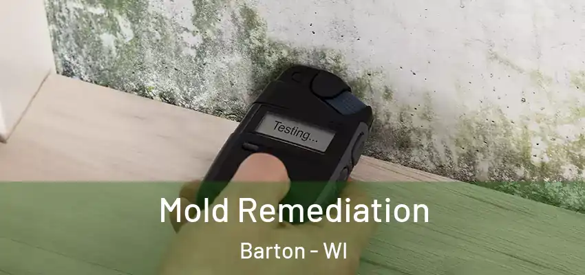  Mold Remediation Barton - WI