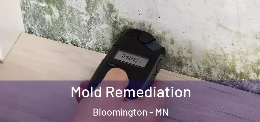  Mold Remediation Bloomington - MN