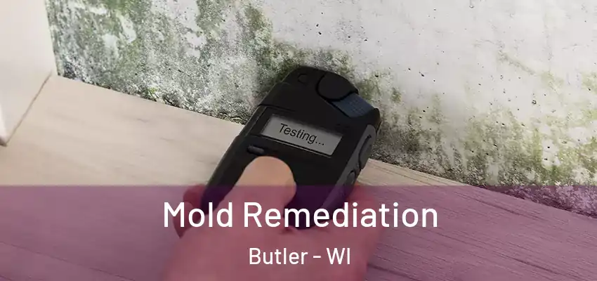  Mold Remediation Butler - WI