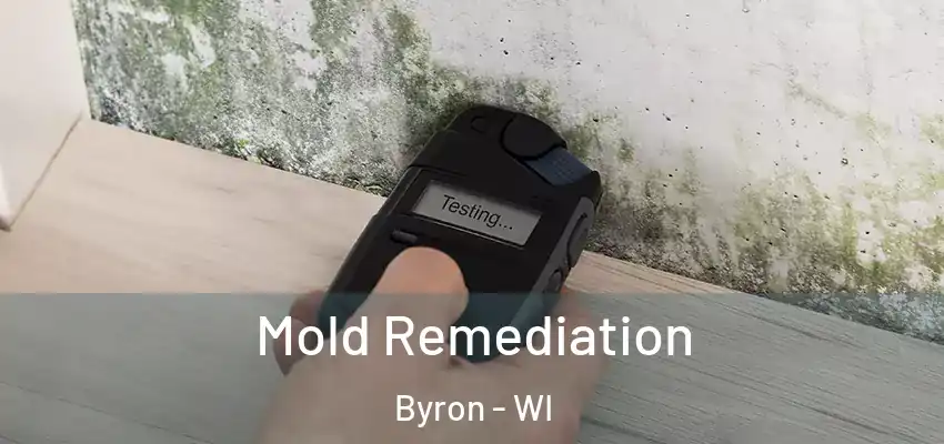  Mold Remediation Byron - WI