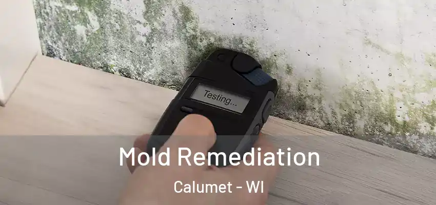  Mold Remediation Calumet - WI