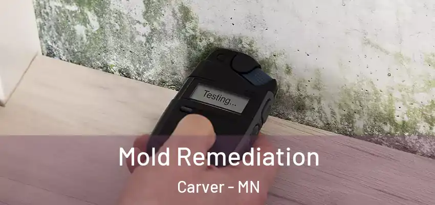 Mold Remediation Carver - MN