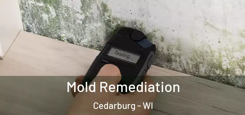  Mold Remediation Cedarburg - WI