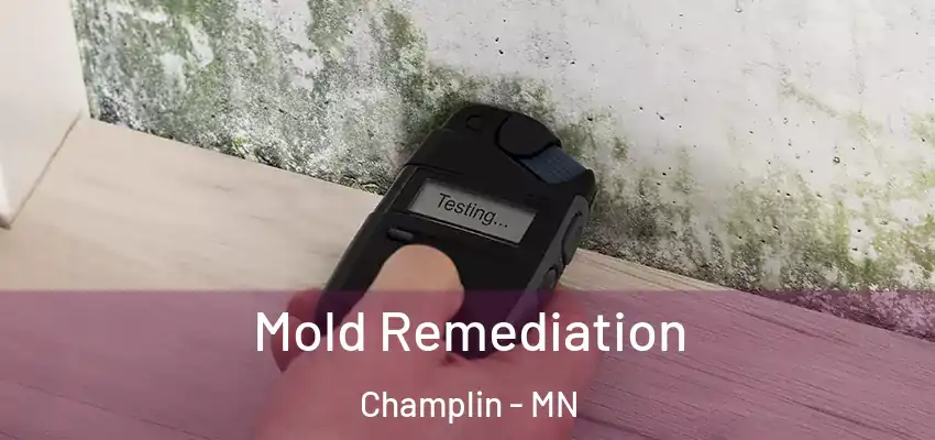  Mold Remediation Champlin - MN