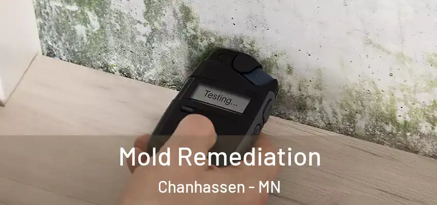  Mold Remediation Chanhassen - MN
