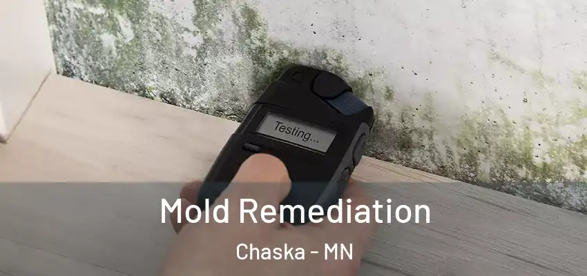  Mold Remediation Chaska - MN