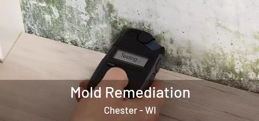  Mold Remediation Chester - WI