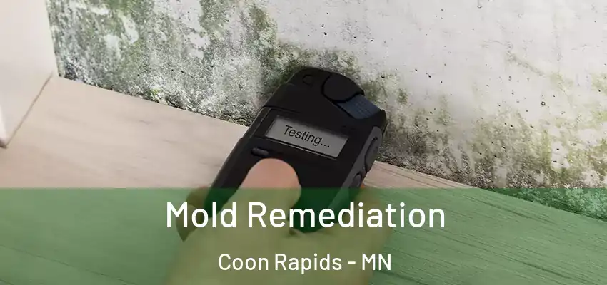  Mold Remediation Coon Rapids - MN