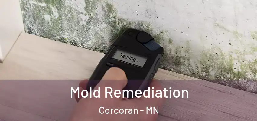  Mold Remediation Corcoran - MN