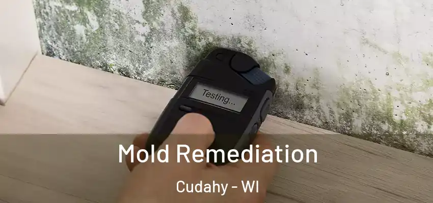  Mold Remediation Cudahy - WI