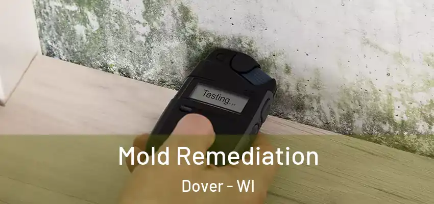  Mold Remediation Dover - WI