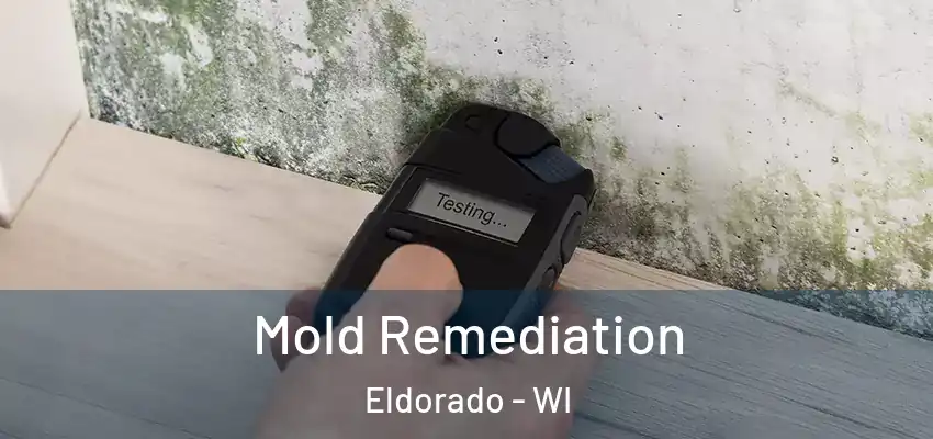 Mold Remediation Eldorado - WI