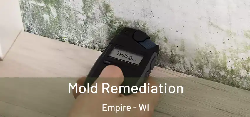  Mold Remediation Empire - WI