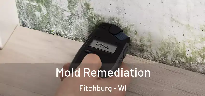  Mold Remediation Fitchburg - WI