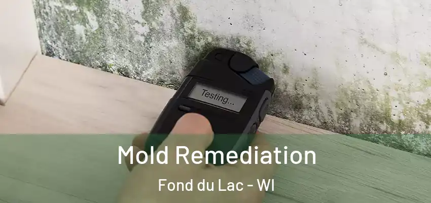  Mold Remediation Fond du Lac - WI
