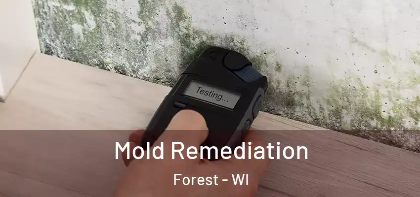 Mold Remediation Forest - WI